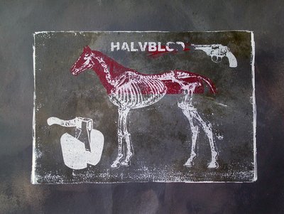 Cavalo de raça mista de Li Gessbo