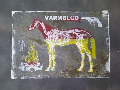 Anatomia do cavalo de sangue quente de Li Gessbo