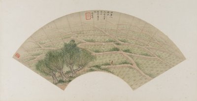Arrozais com garças, dinastia Qing, 1741 (tinta e cor sobre papel) de Li Shizuo
