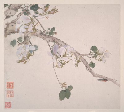 Insectos e flores, datado de 1865 (álbum de oito folhas; tinta e cor sobre papel) de Lian Ju