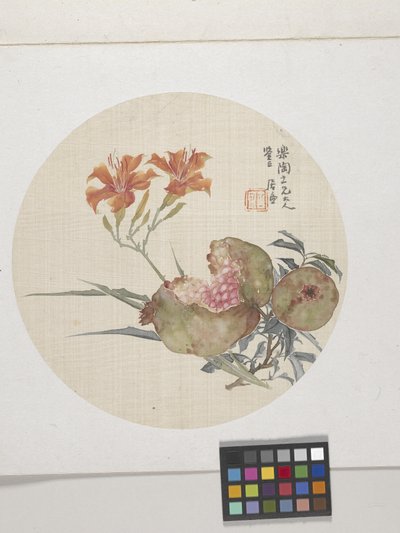 Romã e lírio, cerca de 1850-1904 (tinta e cores sobre papel) de Lian Ju
