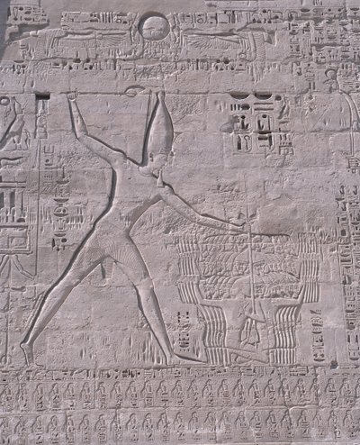 Esculturas na parede de um templo, Medinet Habu, Luxor, Egipto de Unbekannt Unbekannt