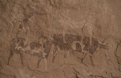 Gado e figuras humanas, pintura rupestre, Oued em Djeran, Perto de Djanet, Tassili n