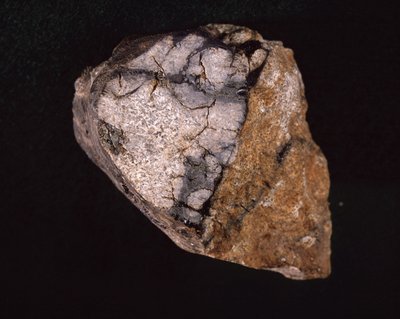 Meteorito encontrado na Índia em 1875 - Museum d