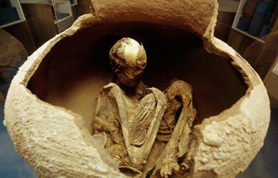 A mamã numa urna de cerâmica. A civilização do Atacama, Paleolítico. de Unbekannt Unbekannt