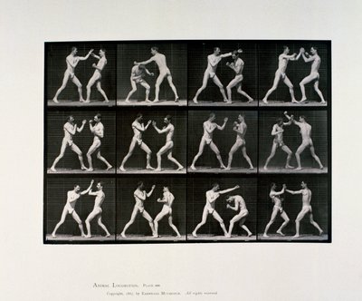 Boxe de atletas masculinos nus, c 1872-1885 de Unbekannt Unbekannt