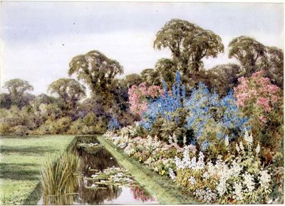 Uma Fronteira Herbácea ao lado de uma lagoa (aguarela) de Lilian Stannard