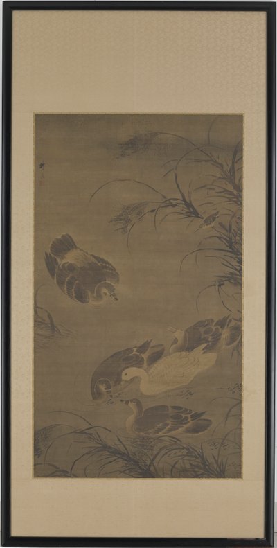 Gansos nadadores de Lin Liang