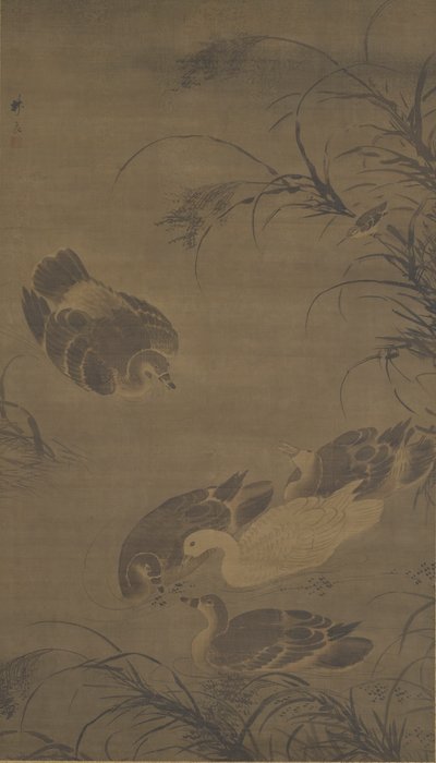 Gansos Nadadores, dinastia Ming, século XV. de Lin Liang