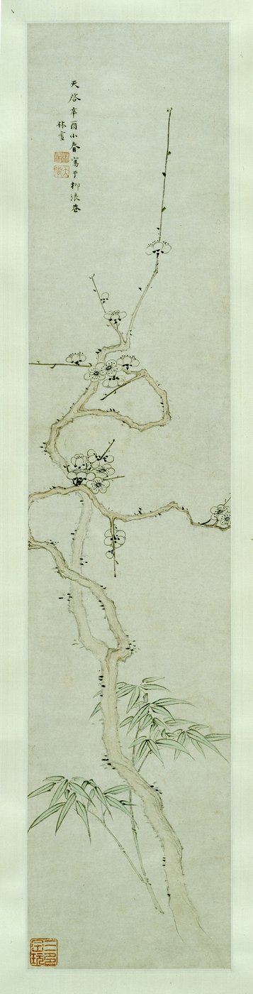 Prunus e bambu de Lin Xue