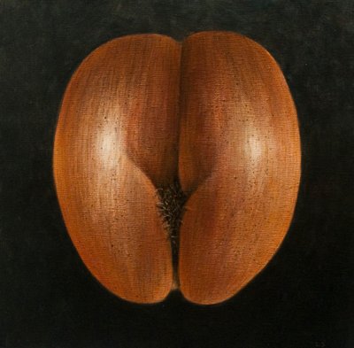 Coco de Mer, 2010 (acrílico sobre tela) de Lincoln Seligman