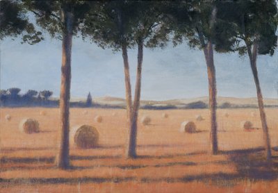 Fardos de feno e pinheiros, Pienza, 2012 (acrílico sobre tela) de Lincoln Seligman
