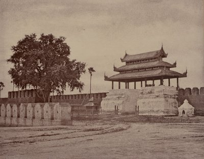 Amerapoora: Ooh-nein Portão da Cidade de Linnaeus Tripe