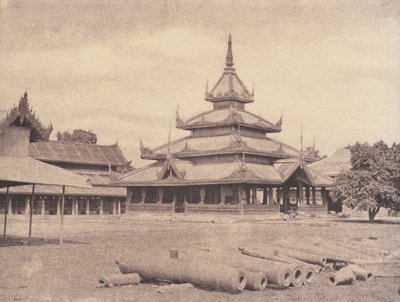 Amerapoora: Palácio do Elefante Branco, 1 de setembro a 21 de outubro de Linnaeus Tripe