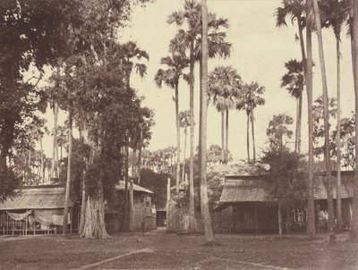 Amerapoora: Portão Oeste do Recinto da Residência de Linnaeus Tripe