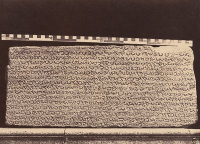 Mármores de Elliot, 1859 (foto) de Linnaeus Tripe