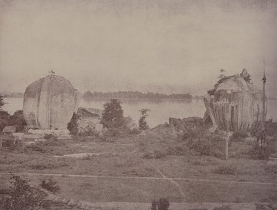 Mengoon: Grifos Arruinados de Linnaeus Tripe
