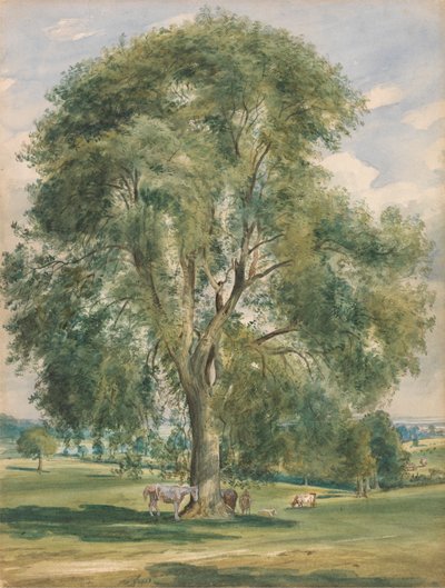 Uma grande árvore numa paisagem de Verão, um cavalo de pé na base de Lionel Constable