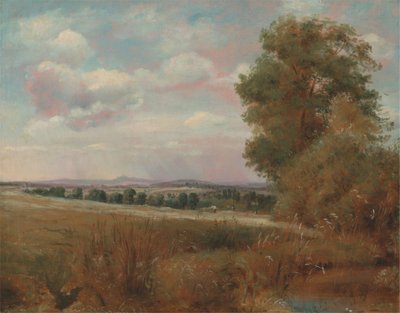 Paisagem em Hampstead, com Harrow na Distância de Lionel Constable
