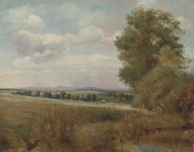 Paisagem em Hampstead com Harrow in the Distance, c.1849-55 (óleo sobre tela) de Lionel Constable