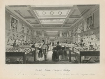 Sala de zoológico no Museu Britânico de Llewellyn Jewitt