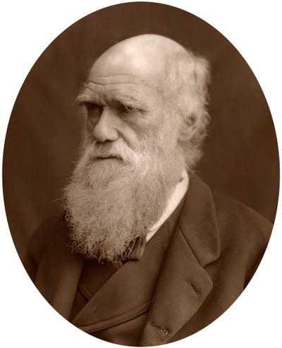 Charles Darwin, 1878. de Lock and Whitfield