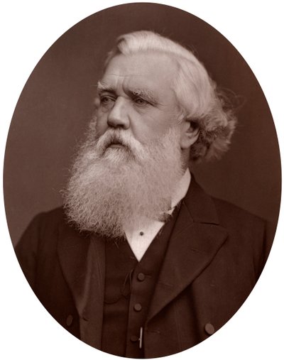 Direito Hon Austen Henry Layard DCL, embaixador britânico em Constantinopla, 1877. de Lock and Whitfield