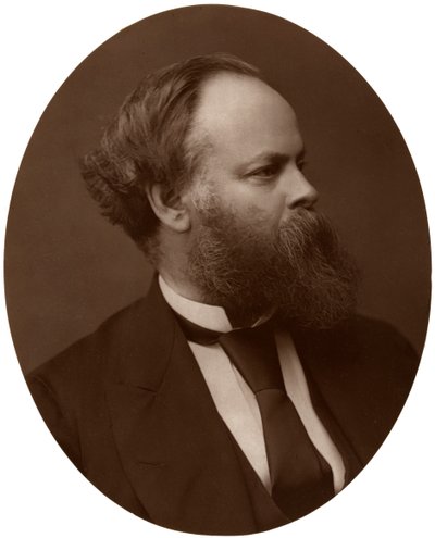 Samuel Plimsoll, Esq, MP, político liberal britânico e reformador social, 1876. de Lock and Whitfield