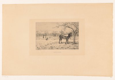 Paisagem com burro
Maitre Aliboron (título sobre o objecto) de Léon Barillot
