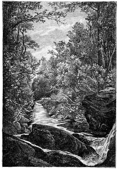 Riacho de montanha com rochas e cascata no meio de uma floresta. Desenho de Leon Benett gravado por Meaulle para a edição Hetzel do livro de Elysee (Elisee) Reclus (1830-1905) "Histoire d