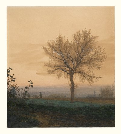 Paisagem com uma árvore nua e um lavrador de Léon Bonvin