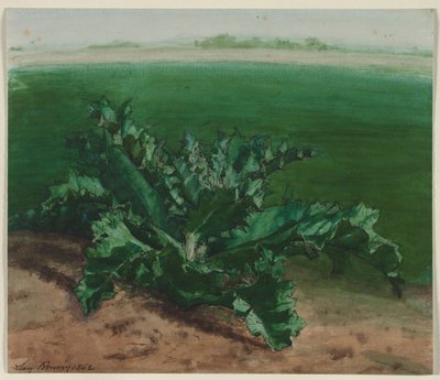 Estudo de uma planta, possivelmente cardo de Léon Bonvin