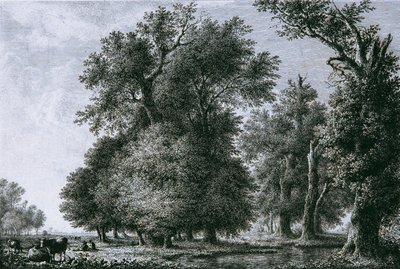 Paisagem com carvalhos de Lorenz Adolf Schönberger