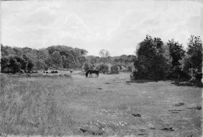Prado com um cavalo preto a pastar de Lorenz Frølich
