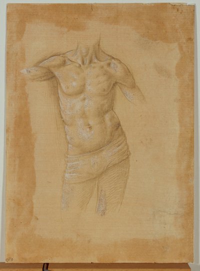 Busto de um homem meio nu, sem cabeça ... de Lorenzo di Credi