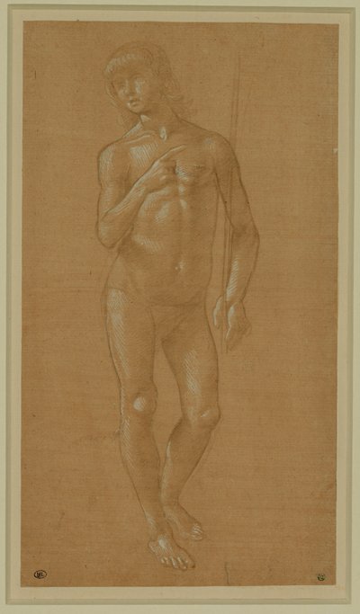 Jovem nu, de rosto inteiro, segurando um bastão Bico de prata, realçado a branco, papel rosa claro ... de Lorenzo di Credi