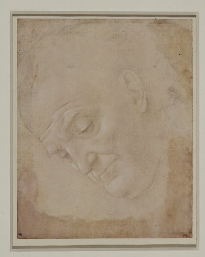 Retrato de um homem calvo, virado três quartos para a esquerda ... de Lorenzo di Credi
