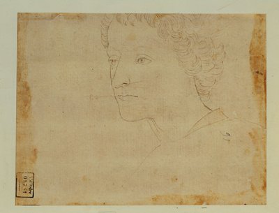Retrato de um rapaz de cabelo encaracolado, três quartos para a esquerda ... de Lorenzo di Credi