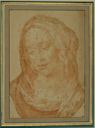Retrato de uma mulher com véu ... de Lorenzo di Credi