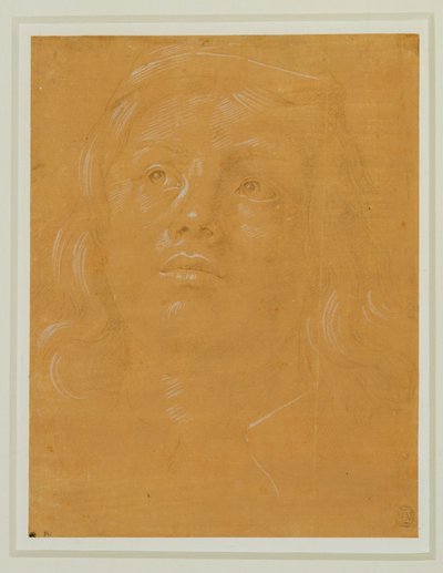 Retrato de um jovem, de rosto inteiro, olhando para cima ... de Lorenzo di Credi