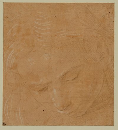 Retrato de um jovem, olhando para baixo ... de Lorenzo di Credi