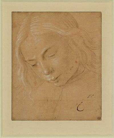 Retrato de um jovem, perfil a três quartos, inclinado para a frente ... de Lorenzo di Credi