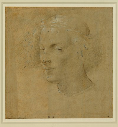 Retrato de um jovem com calota craniana ... de Lorenzo di Credi