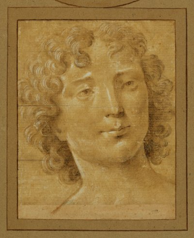 Estudo de um homem com cabelo comprido e encaracolado ... de Lorenzo di Credi