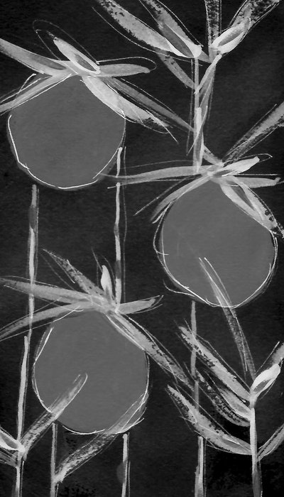 Formas botânicas abstratas de Lori Ann Folz