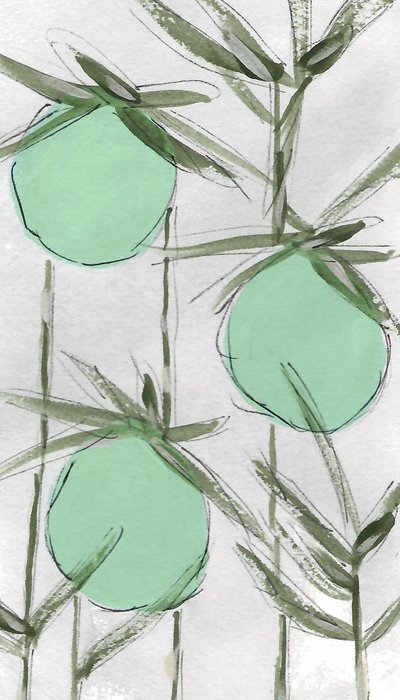 Resumo: Green Botanicals de Lori Ann Folz