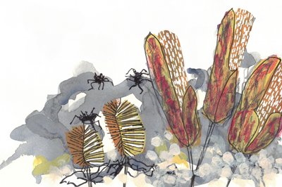 Aranhas do género Banksia de Lori Ann Folz