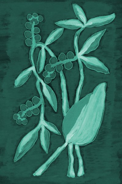 Deep Green Botanicals de Lori Ann Folz