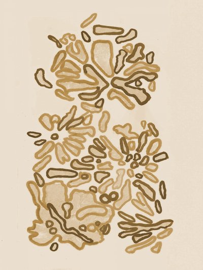 Formas Orgânicas Fluidas de Lori Ann Folz