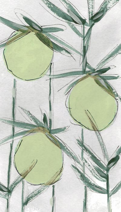 Produtos Botânicos Verdes Frescos de Lori Ann Folz